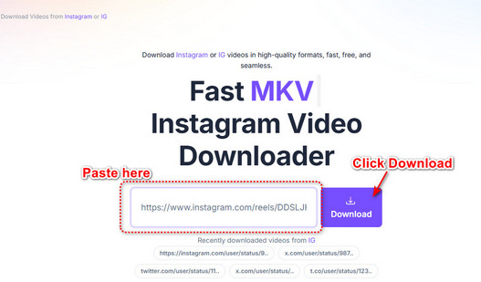 download video from Instagram with fastdownload.video step 2