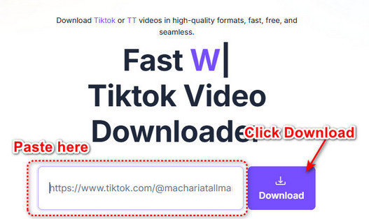 download video from Tiktok with fastdownload.video step 2